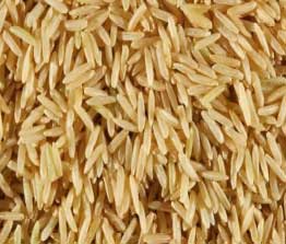 Manufacturers Exporters and Wholesale Suppliers of Sharbati Brown Rice Nagpur Maharashtra